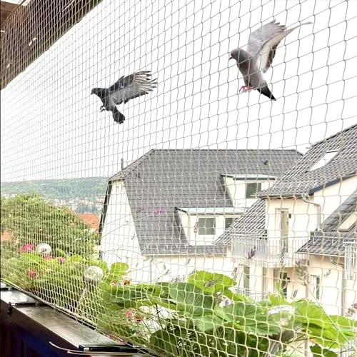 Bird Netting Service